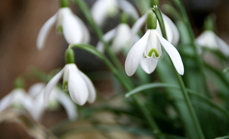 Погода на 22 - 29 березня: які сюрпризи готує погода