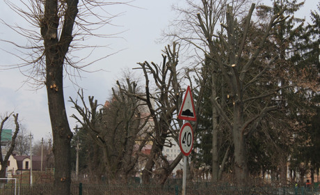 В Барі пройшла чергова стрижка дерев від КП Бар-Благоустрій: Фоторепортаж