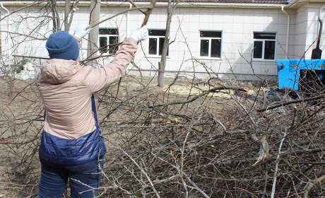 Троїчани провели першу весняну толоку і розчистили сад біля амбулаторії