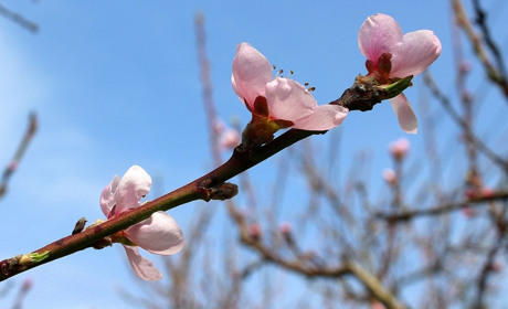 Мінливий квітень: чи буде весна та зміни