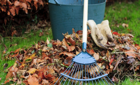 У Старокостянтинові проведуть загальноміський суботник
