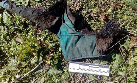 Відомі результати експертизи щодо безвісті зниклої пенсіонерки з Волноваського району