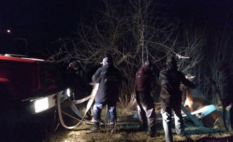 Гуляйпільські рятувальники витягнули коня з криниці