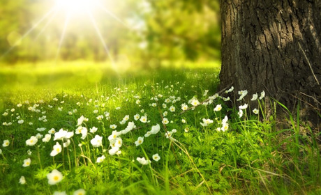 Куди піти у Старокостянтинові і Хмельницькому з 4 по 11 квітня. Найближчі події тижня