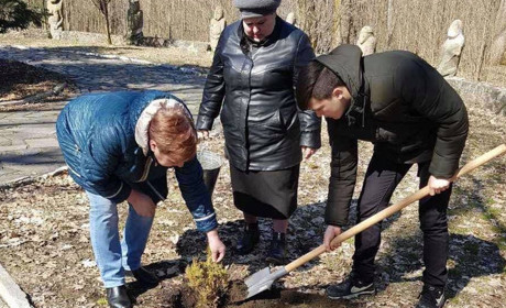 На території Великоанадольського музею лісу висадили дерева 