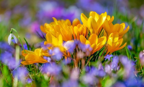 Погода на 5 - 11 квітня: "нулі" та "мінуси" нарешті підуть