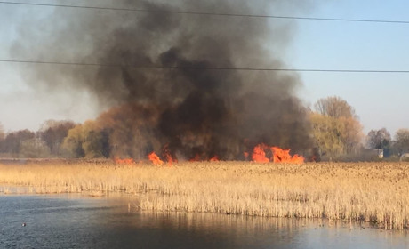 Чотири пожежі на старокостянтинівщині: горіло щодня