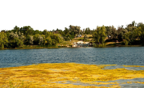 Активисты и чиновники Торецка приглашают жителей вместе убрать мусор на Дылеевке
