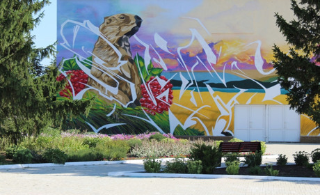 4 головних проекти, які реалізували у Троїцькій громаді за підтримки USAID