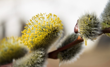 Погода на 15-21 квітня: що прогнозують синоптики цього тижня