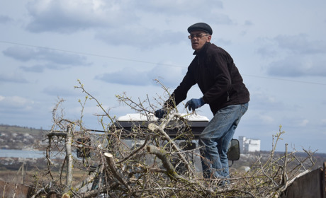 Огляд соцмереж: що обговорювали троїчани на тижні