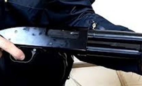 У селі Великий Дальник чоловік з рушницею зупинив напад на оселю та поранив нападника 