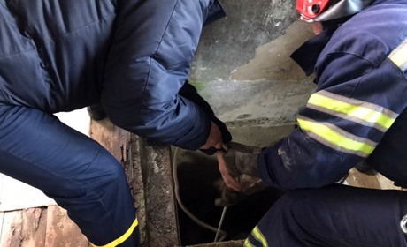 Літній чоловік впав у погріб. Допомогли рятувальники