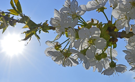 Погода на тиждень для барчан