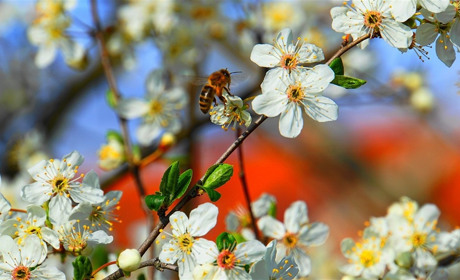Погода на 22-28 квітня: стовпчики термометрів перевищуватимуть +20 градусів