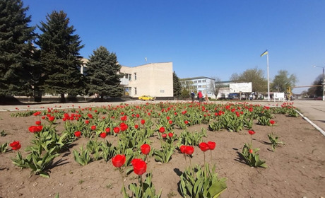 Чому Гуляйполе — українська Голандія