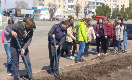 Менські випускники подарували рідному місту 30 кущів троянд