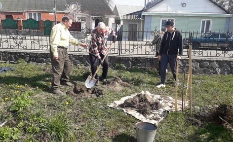 У Музеї Косачів відновлюють сад