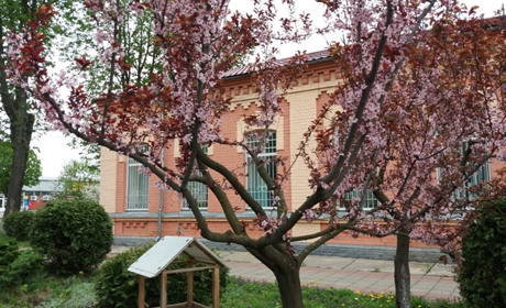 Погода на 29 квітня — 5 травня: парасольки та шалики не завадять