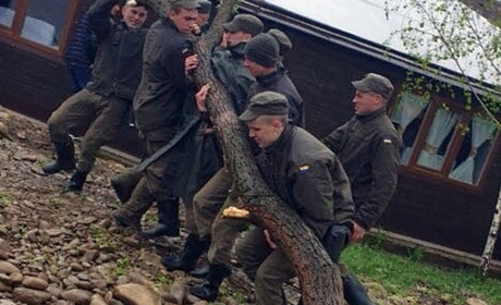  Нацгвардійці допомагають долати наслідки негоди у Добровлянах