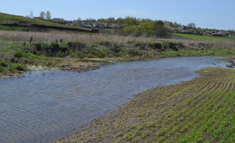 У Шманьківчиках ставкова вода затопила людські городи