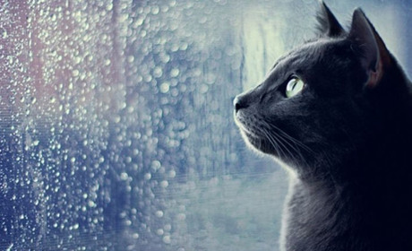 Погода на 6-12 травня: гойдалки природи не завадять святу