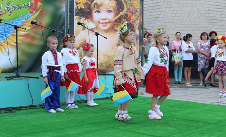 Як у Гуляйполі відсвяткують День вишиванки
