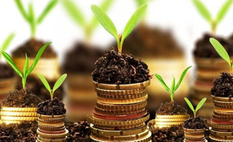 У двох селах Троїцького району не подали жодної декларації про доходи з обробки землі за 2018 рік