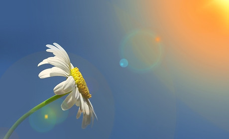 Погода на 27 травня - 3 червня: розпогодилося