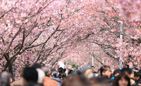 Куди піти у Старокостянтинові і Хмельницькому з 30 травня по 6 червня. Найближчі події тижня