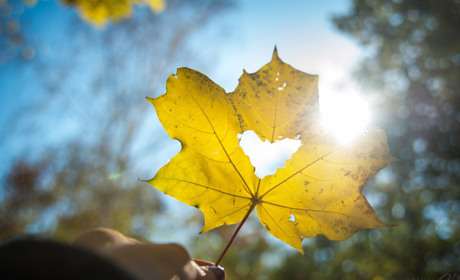 Стала відома дата проведення фестивалю "З країни в Україну" в Торецьку