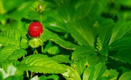 Погода на тиждень 11-15 червня: дочекалися спеки