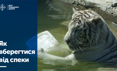 Як вберегтися від екстремальної спеки – поради Центру громадського здоров'я
