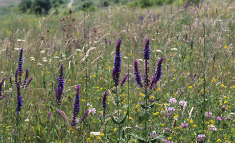Тимонівців турбує стан доріг, а малоолександрівців – відсутність пошти 