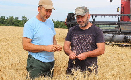 Троїцькі хлібороби розпочали жнива