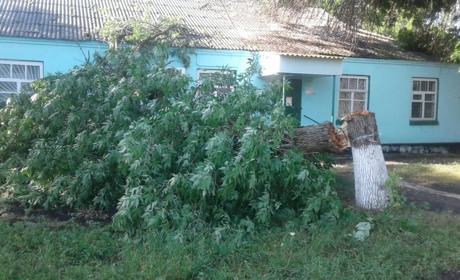 В Попаснянском районе ураган повредил крыши и повалил деревья