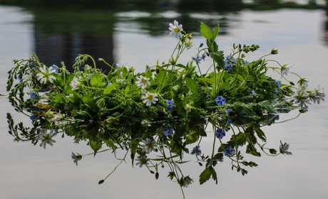 До Старокостянтинова на фестиваль приїде Олег Скрипка