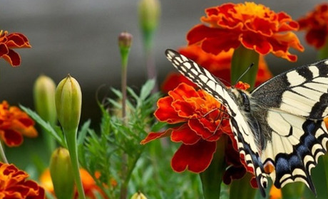 Куди піти у Старокостянтинові і Хмельницькому з 4 по 11 липня. Найближчі події тижня