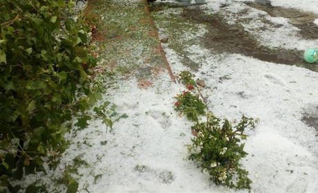 Як у Джурині на Івана граду насипало та дерева повиривало