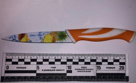 Правоохоронці Торецька за добу затримали двох зловмисників 