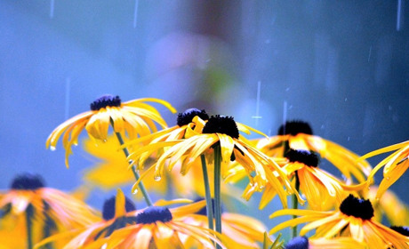 Погода на 10-14 липня: буде прохолодно та дощитиме