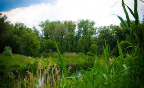 Чому у Сватовому не можна купатися у Красній і на водосховищі