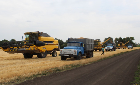 Як троїчани жнивують