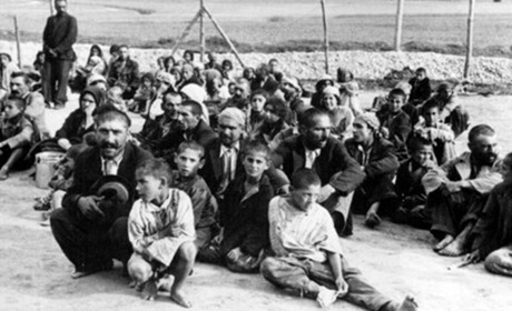 Неписана історія Звягеля в Другій світовій: от-от і до нас дійде (частина 2)
