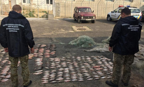 500 рыб на 50 тысяч гривен: на озере Ялпуг задержали браконьеров