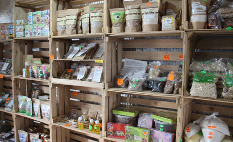 Солодощі без цукру та НЕмолоко: що можна купити у лавці здорового харчування «ЕкоСвіт»