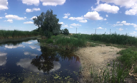 Біляївська міськрада звернеться до РДА з проханням визначити місця для відпочинку на Зеленому хуторі
