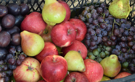 5 найцікавіших подій в серпні в Троїцькому та найближчих містах