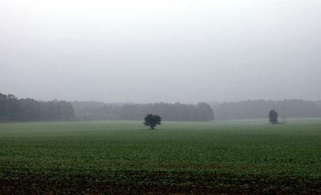 Дощі та грози у серпні: погана новина для городян, але гарна для фермерів
