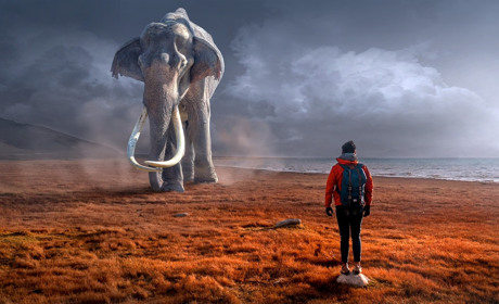 Доторкнутися до історії. Топ-5 експонатів від Менського краєзнавчого музею